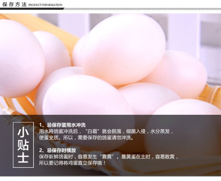 優惠直銷新鮮農家散養 新鮮 鴿子蛋大量現貨