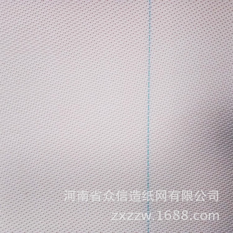 廠家 靜電復印紙 鼓式洗漿機用單層聚酯成型網造紙網批發