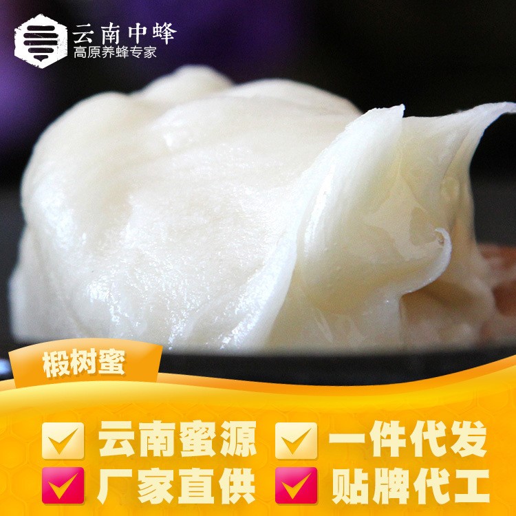 生態(tài)土蜂蜜500g 云南中蜂農(nóng)家天然椴樹蜂蜜 雪蜜批發(fā)