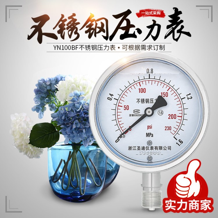 不銹鋼耐震壓力表YN100BF 充油抗震耐高溫耐腐蝕M20*1.5 4分 1/2