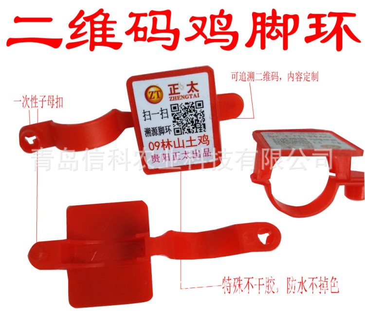 供應雞腳環 防偽雞腳環 青島雞腳環 批發咨詢二維碼