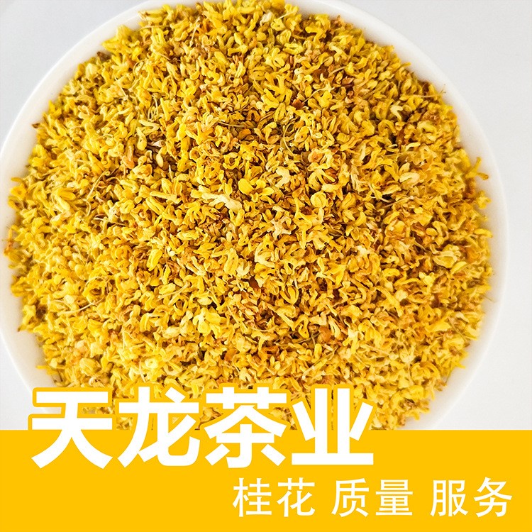 天龍茶業(yè)批發(fā)花草茶精選桂花/桂花茶/桂花干散裝量大從優(yōu)廠家直銷