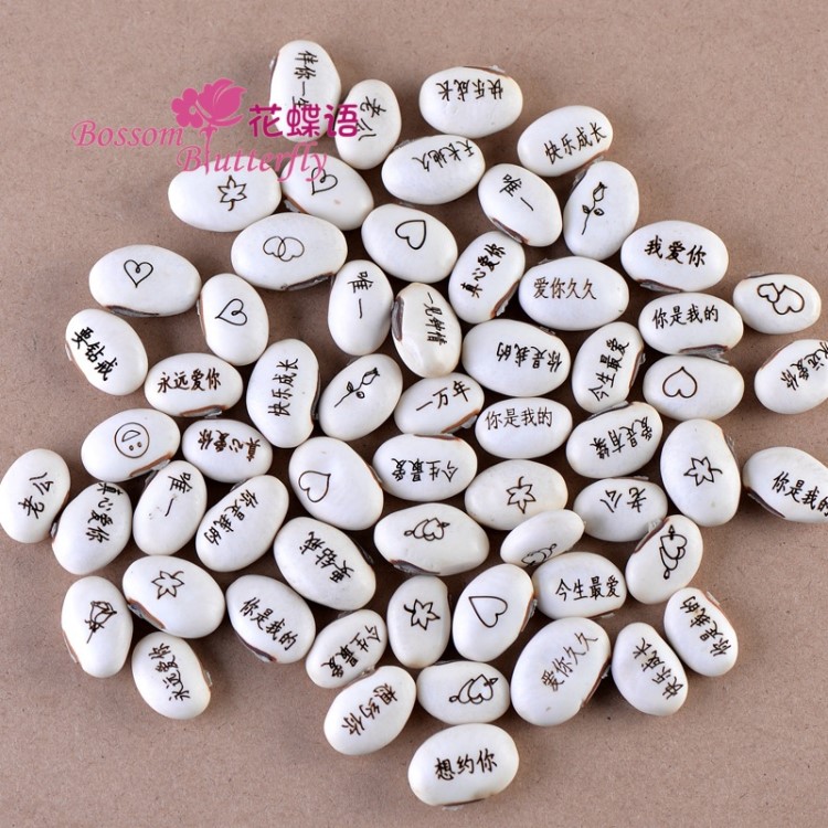 義烏魔豆廠家直銷 愛情魔豆 白豆 魔豆種子 新奇特迷你植物工藝品