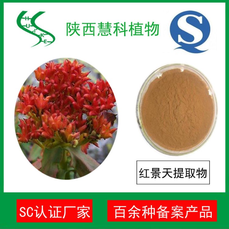 紅景天提取物 紅景天苷2% SC廠家  提供第三方檢測