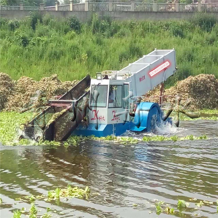 清潔收割水草設備 水面雜草打撈船 除草船生產廠家