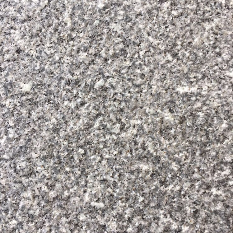廠家直銷芝麻灰魯灰 新款耐腐蝕淺灰色花崗巖石材 鑫億直銷商