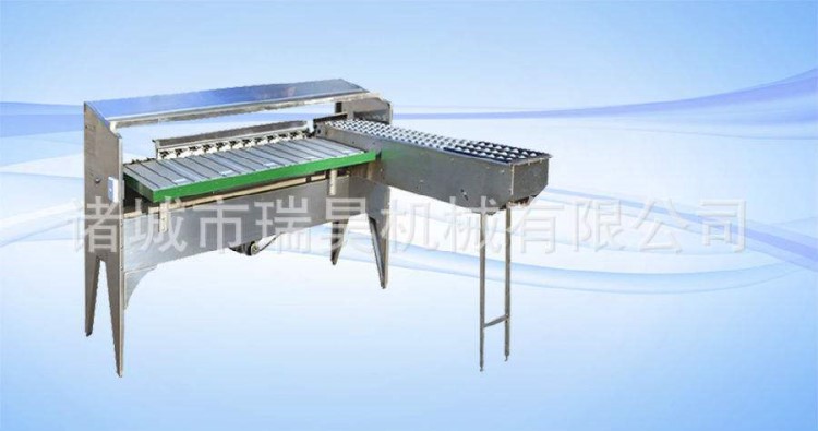 蛋品分級機 蛋類撿蛋機 雙排大產(chǎn)量選蛋機 供應(yīng)新型機