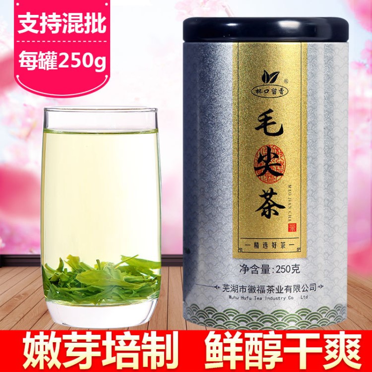 杯口留香毛尖茶 信阳原产毛尖茶茶叶绿茶罐装 厂家直销