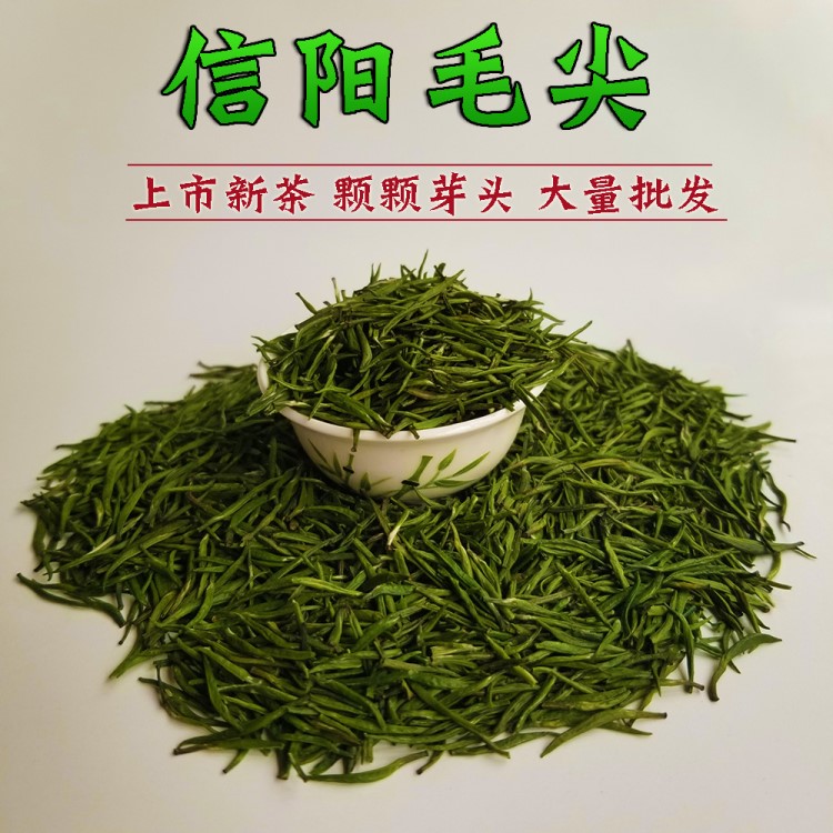 2018新茶 信陽毛尖 茶葉綠茶春茶明前特級芽頭 散裝茶農(nóng)批發(fā)500g