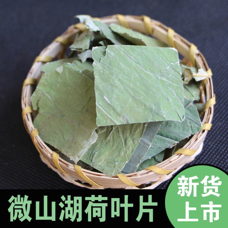 厂家供货 荷叶茶新货 方形荷叶片 叶类花草茶 货源充足量大实惠