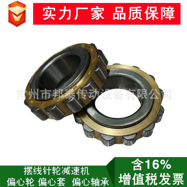 常州直銷整體偏心軸承 圓柱滾子軸承 擺線針輪減速機配件偏心輪
