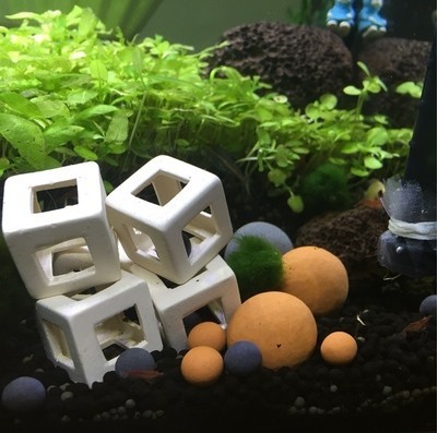 水晶蝦窩躲避陶罐紫砂海星鯛罐櫻花屋房蝦繁殖迷你魚礁首藤方塊