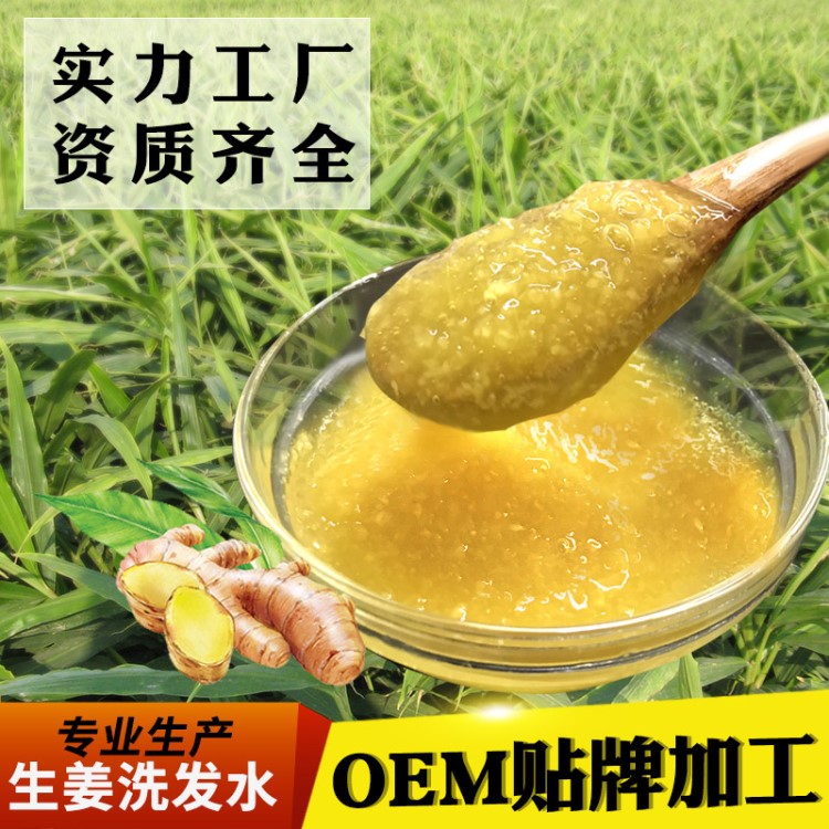 美妝日化洗發(fā)露OEM 植物無硅油洗發(fā)水定制 代加工/貼牌生姜洗發(fā)水