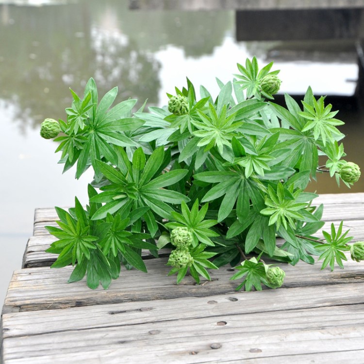 魯冰花葉把束 仿真植物人造花 仿真花批發(fā) 義烏廠家