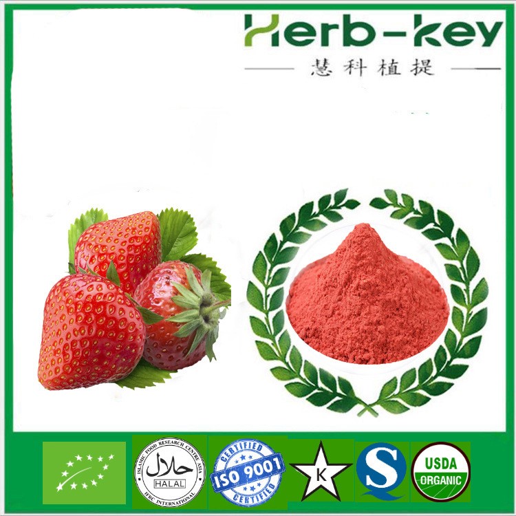 草莓果粉 陜西慧科 草莓凍干粉 廠家 速溶草莓果粉 免費寄樣