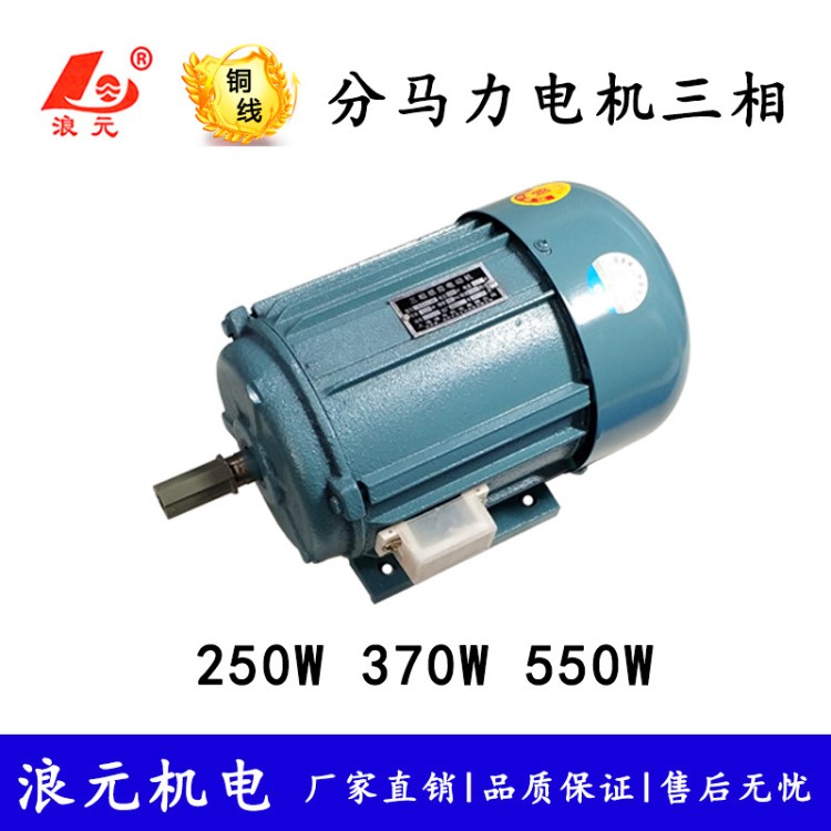 小型三相電機250W 370W 550W分馬力異步電動機銅線380V 軸徑16