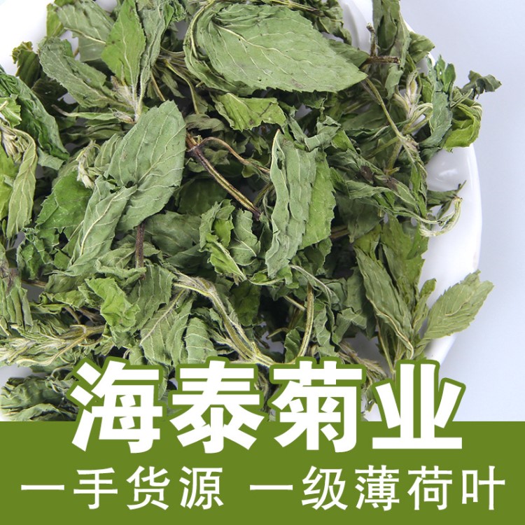 海泰菊業(yè)散裝批發(fā)清涼茶薄荷葉 散裝批發(fā)廠家批發(fā)花草茶量大從優(yōu)