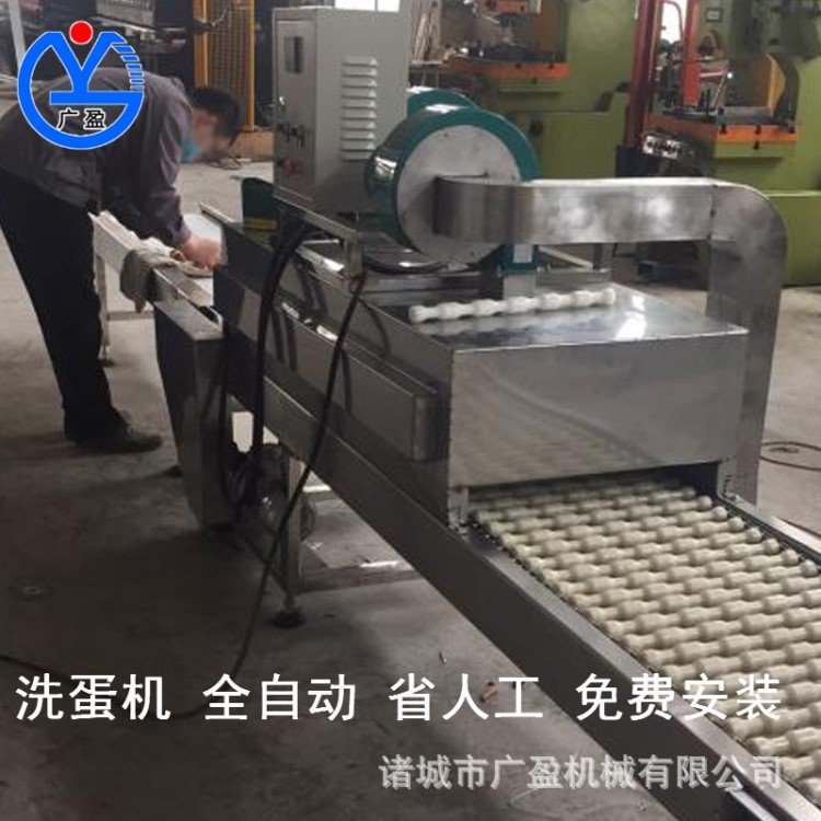 供應洗蛋機 大型鴨蛋清洗機 蛋品清洗設備 廠家直銷 價格實惠