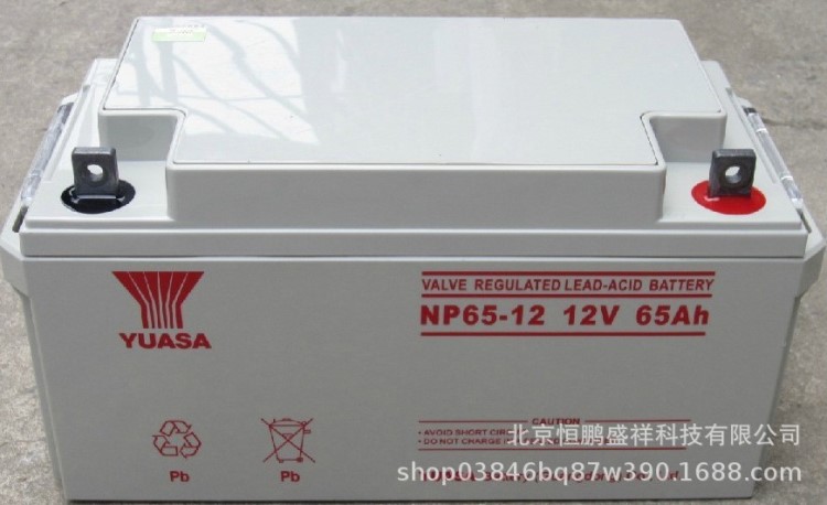 NP24-12 YUASA 新能源/UPS電源