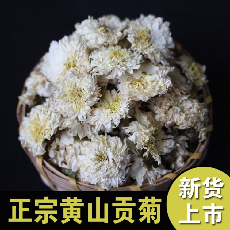 黄山贡菊花茶 散装 安徽特产白菊花批发厂家直销