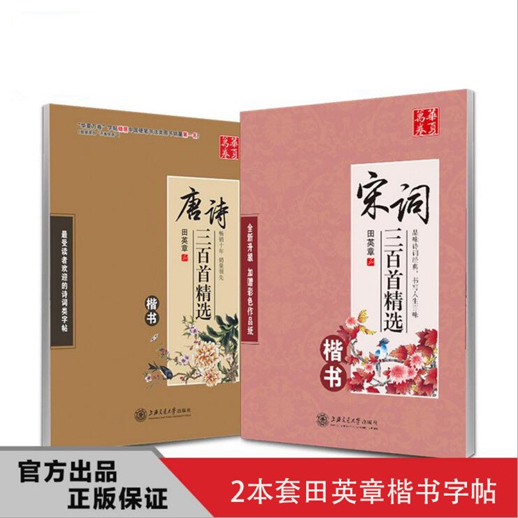 2冊(cè)田英章硬筆書(shū)法楷書(shū)字帖 唐詩(shī)宋詞傳統(tǒng)文化兒童鋼筆字帖