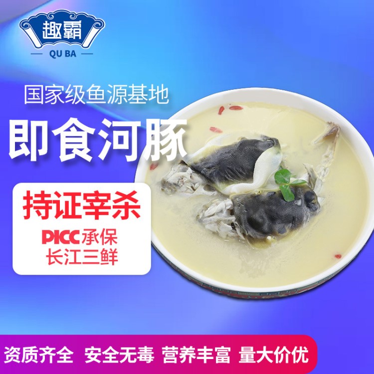 廠家直銷基地特產(chǎn)海鮮食品白汁河豚魚禮盒裝包郵熱賣