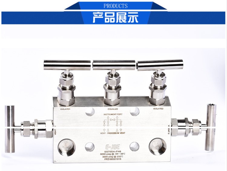 E-JOE五閥組壓力變送器閥組swagelok儀表閥組替代
