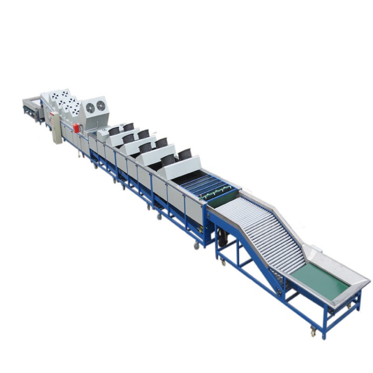 果蔬打蠟烘干設(shè)備柑桔全套加工機(jī)械水果分級機(jī)選果機(jī)
