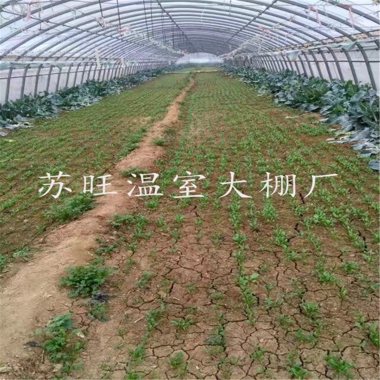 供应GP622农业单体大棚 钢结构连栋温室大棚 春秋大棚 水果种植棚