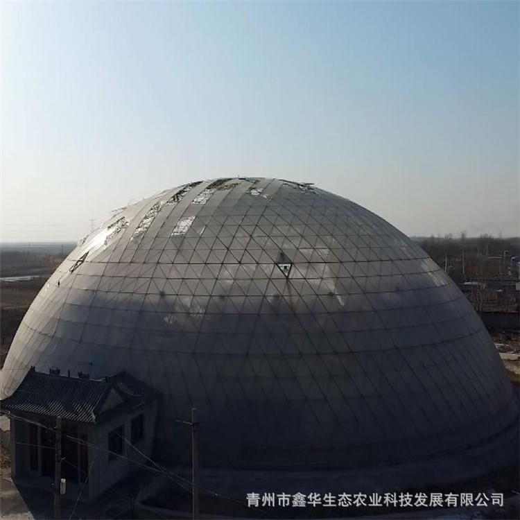 厂家承建鸟巢温室 球形温室大棚制造商 球形温室尺寸 球形温室造