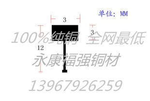 廠家直銷(xiāo)國(guó)標(biāo)水磨石銅條 3x12 裝飾銅條扣條 地面分隔條 銅分隔條