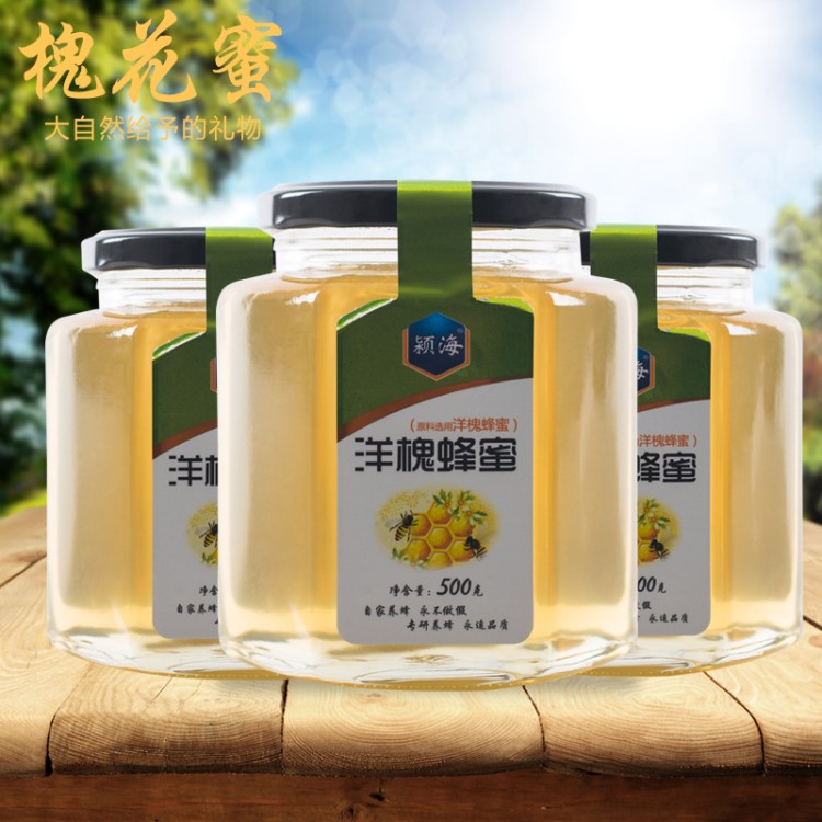 潁海500g洋槐蜜罐裝刺槐蜂蜜花蜜OEM貼牌加工洋槐蜂蜜制品