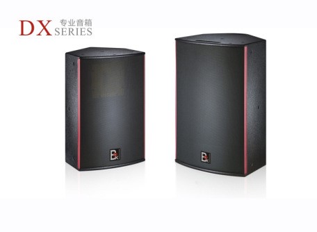 廠家直銷BDX北斗星工程音箱DX-12 DX-15會議音箱，音響