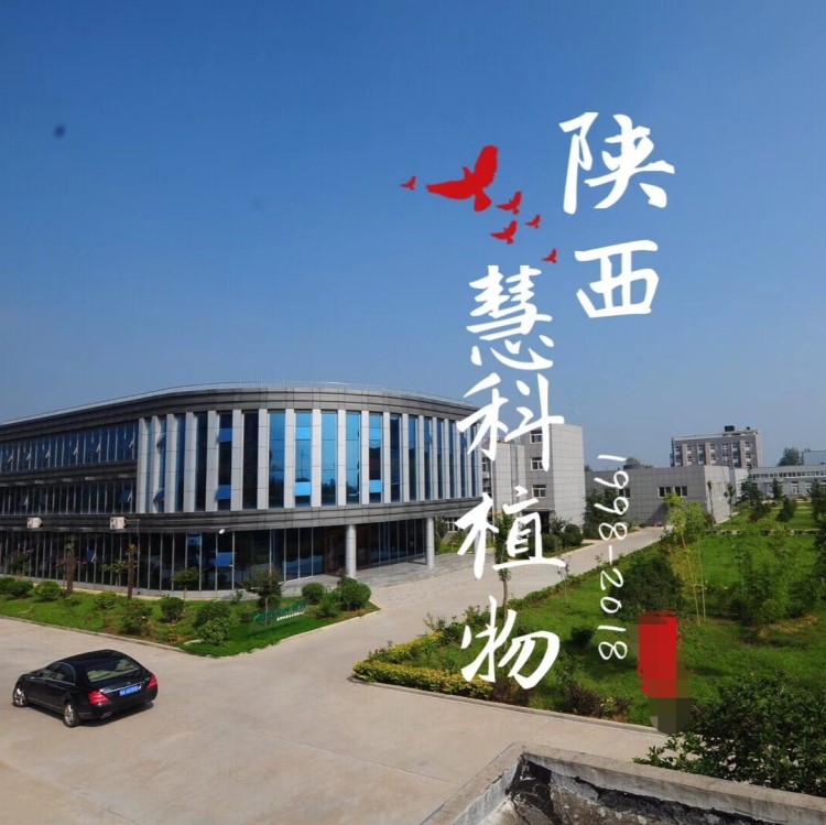 食品級低聚果糖 SC廠家 菊苣提取來源 低聚果糖粉