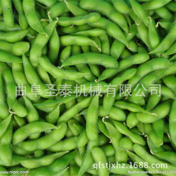 鮮毛豆剝皮機 鮮毛豆剝殼機 毛豆脫莢機