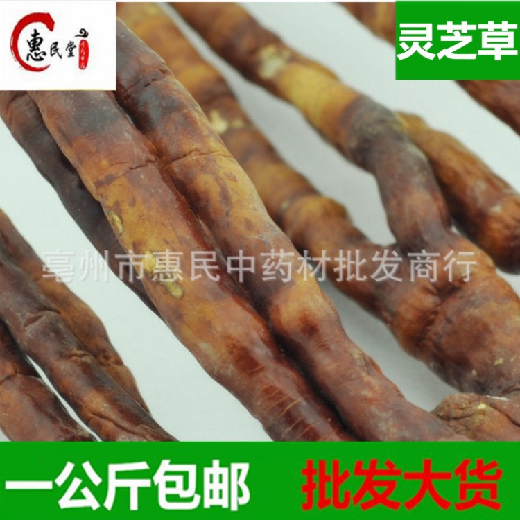 惠民堂品質(zhì)靈芝草靈 芝草片 包郵 食用農(nóng)產(chǎn)品初加工