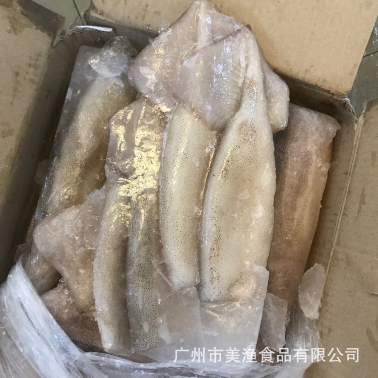 冷凍海鮮 冰凍帶冰 魷魚(yú)筒 帶頭魷魚(yú)筒 速凍海產(chǎn)品批發(fā)10kg/件