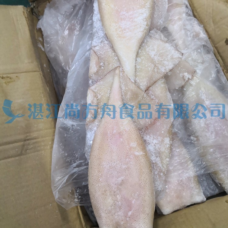 工厂直销 冷冻鱿鱼筒10KG/件 单冻墨鱼筒油炸烧烤火锅食材批发