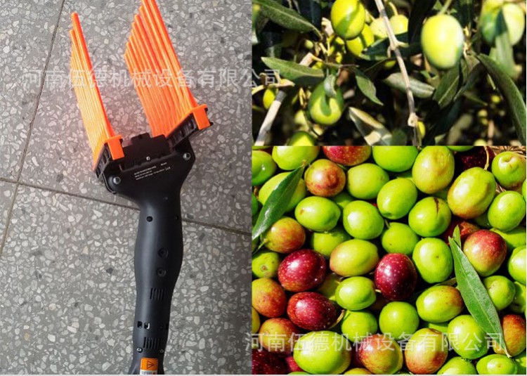 打果機(jī) 全新 廠家直銷 無損壞率 紅棗 核桃 橄欖打果機(jī)