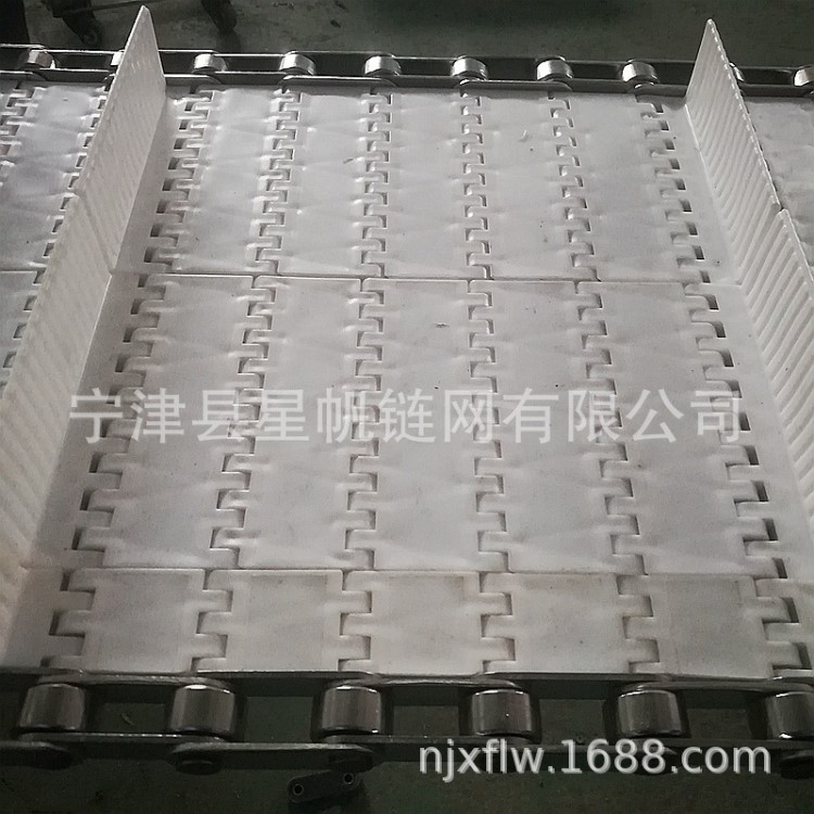 模塊網帶 塑料呢絨網帶 非金屬鏈板式網帶 山東星帆廠價直銷