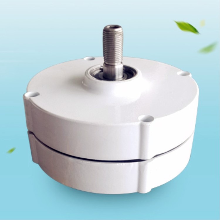 FANGYONG風(fēng)機(jī)定制改裝FD300W12v24v發(fā)電機(jī)安徽DY改裝實(shí)驗(yàn)水力風(fēng)力