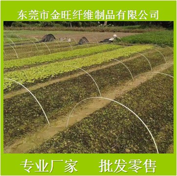 農(nóng)業(yè)搭棚 玻璃纖維棒6mm8mm圓棍 弓棚薄片 代替毛竹片