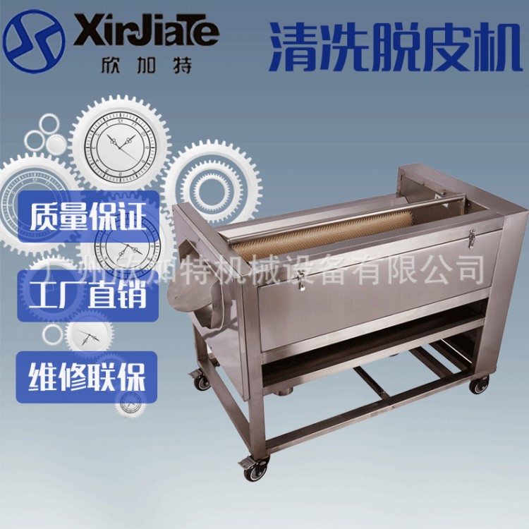 欣加特全自動生姜脫皮清冼機不銹鋼土豆清洗去皮機清冼脫皮機直銷