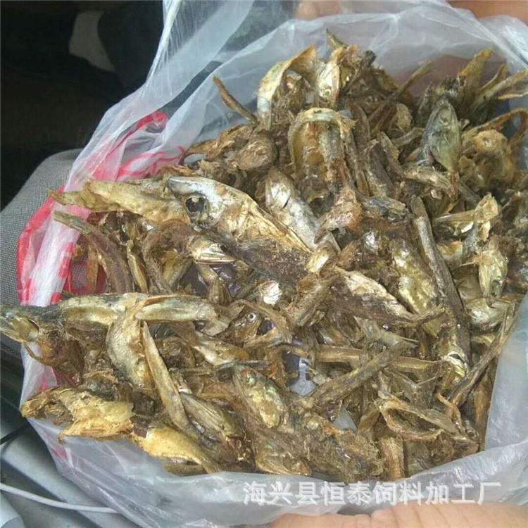 現(xiàn)貨供應(yīng)飼料級魚干 無鹽脫脂魚干 動物性營養(yǎng)魚干飼料批發(fā)