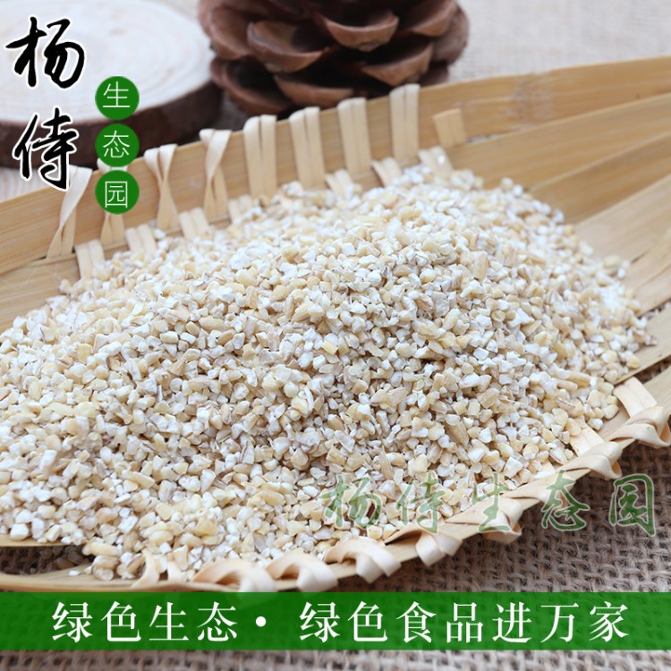 五谷雜糧大麥糝子粗糧麥類農作物早餐粥原料食品