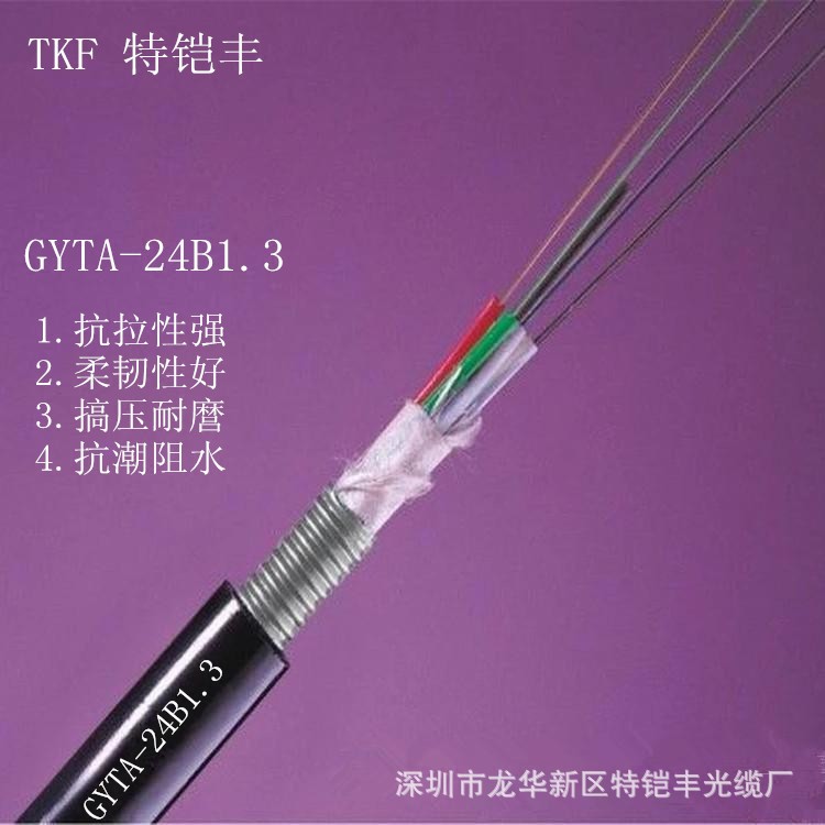 萬兆單模戶外鎧裝24芯光纜G652D纖芯 GYTA-24B1.3光纖 工廠直銷