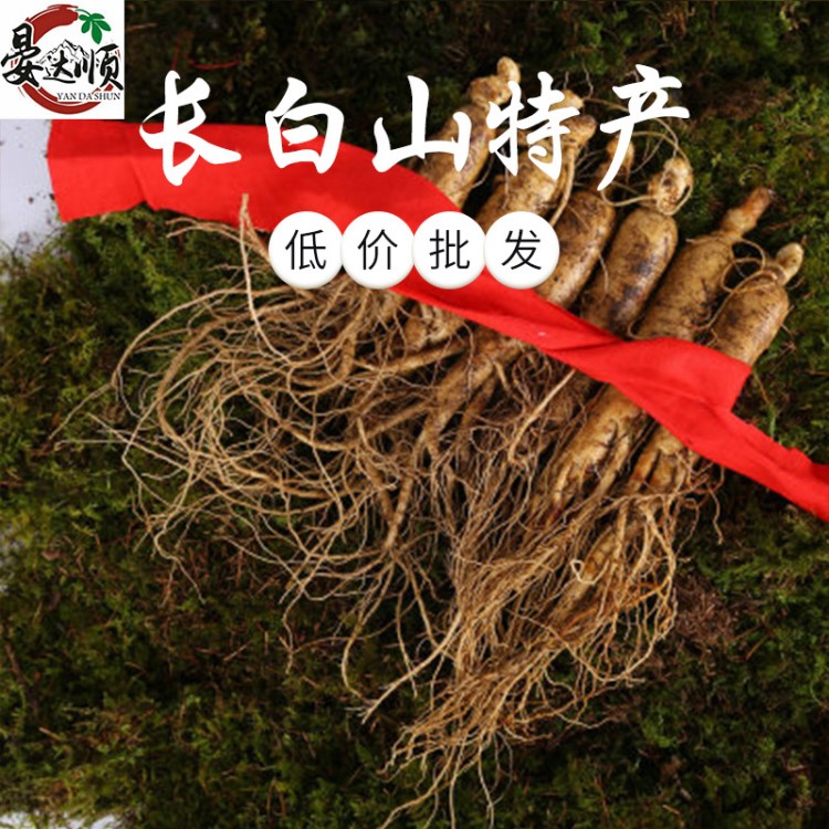 東北長白山帶土鮮人參 多種規(guī)格可切片泡酒燉湯產(chǎn)地直銷