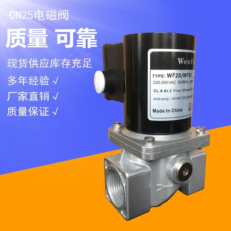 穩(wěn)豐DN20/25燃?xì)怆姶砰y液化氣閥 天然氣燃燒機(jī)常閉快開(kāi)電磁閥