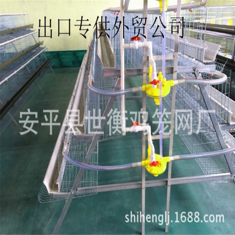 蛋雞籠 白食槽 方管支架 加粗 直供外貿公司