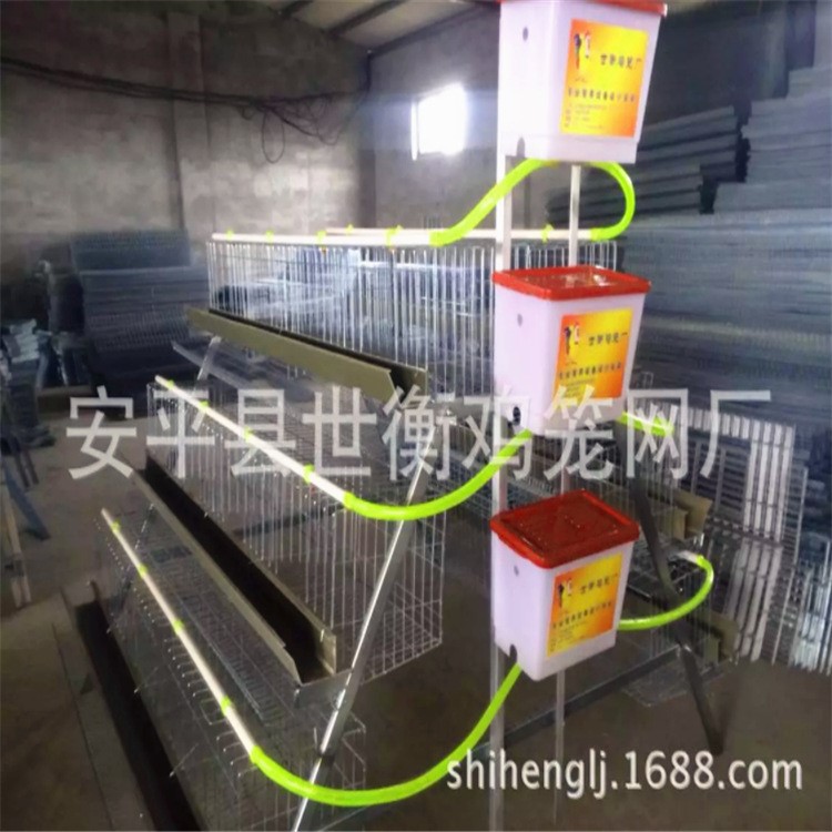 蛋雞籠 雞籠 雞籠子 養雞籠 養殖籠 容量120只雞 非洲大量求購